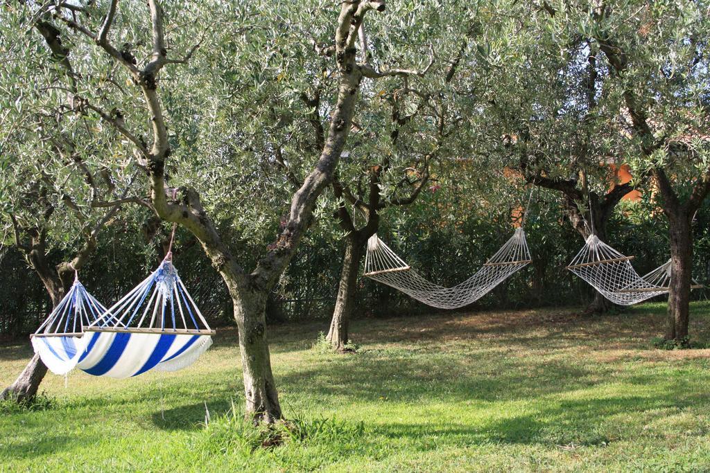 Hotel Casaliva Bardolino Zewnętrze zdjęcie