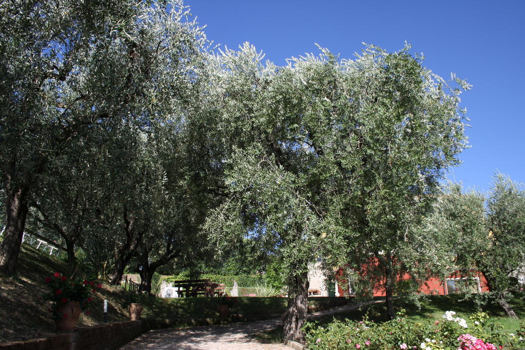 Hotel Casaliva Bardolino Zewnętrze zdjęcie